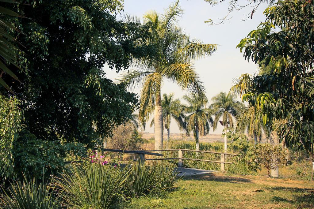 Hacienda San Gabriel De Las Palmas Amacuzac Eksteriør bilde