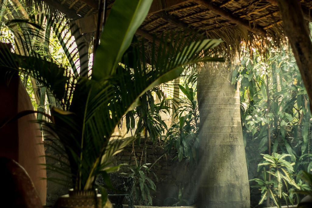 Hacienda San Gabriel De Las Palmas Amacuzac Eksteriør bilde