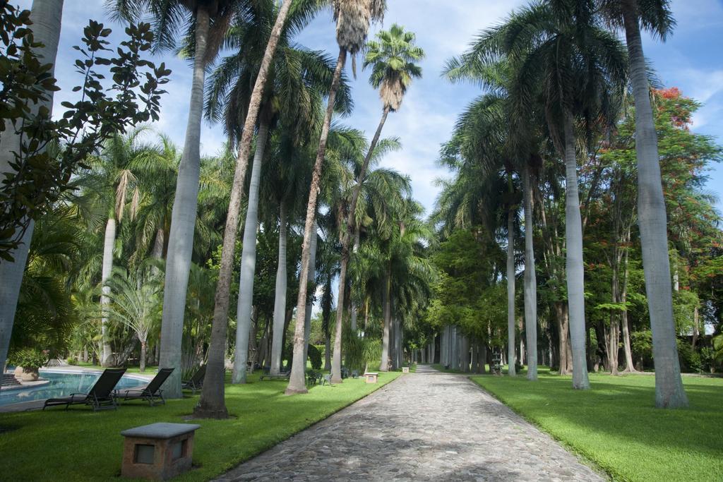 Hacienda San Gabriel De Las Palmas Amacuzac Eksteriør bilde