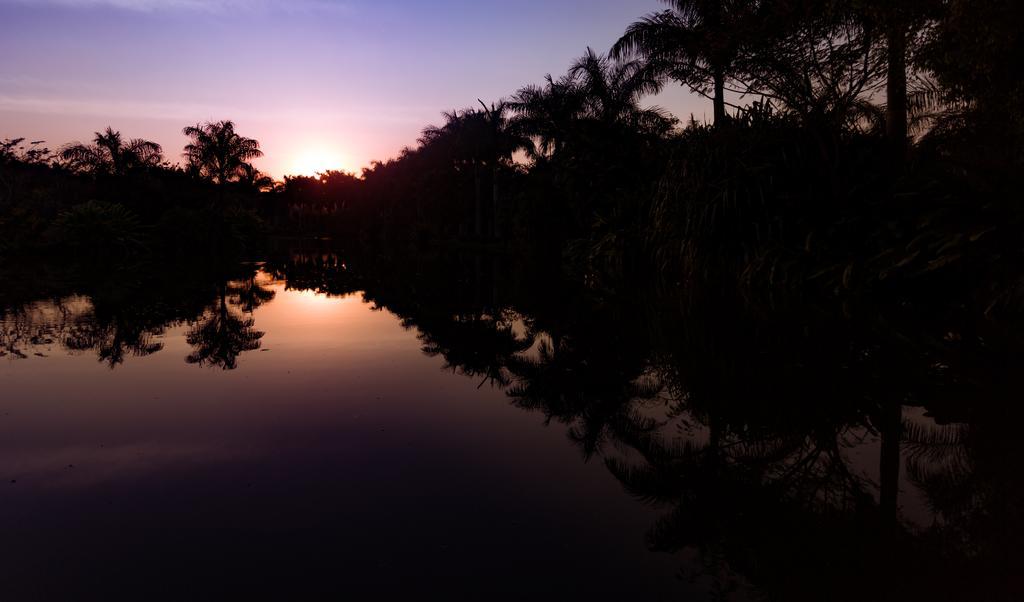 Hacienda San Gabriel De Las Palmas Amacuzac Eksteriør bilde